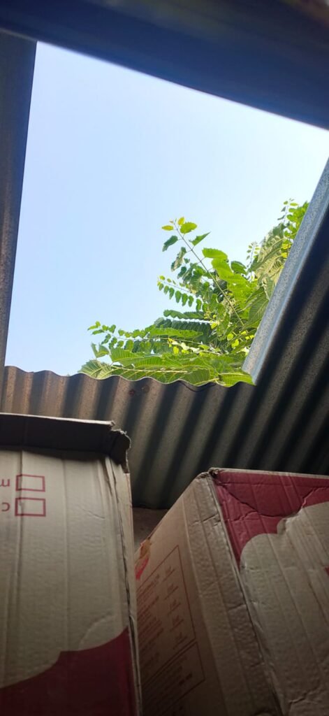 दुकान में चोरी,पुराने कपड़े छोड़,नये कपड़े पहन चले गये चोर,बिर्रा में एक ही रात चार जगह पर चोरी को दिया अंजाम